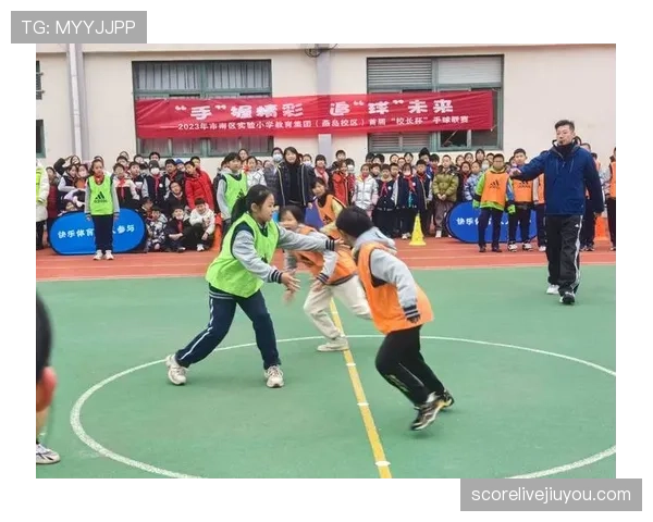 手球规则解释：判定触球意图与位置的关键标准